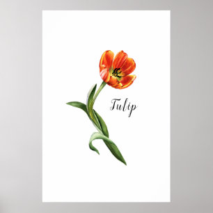 Floral Poster