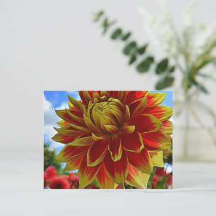 floral postkarte