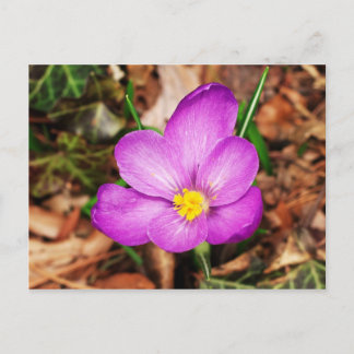 Floral Postkarte