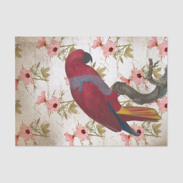 Floral Red Parrot Seidenpapier (Vorderseite)