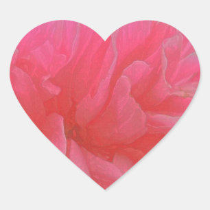 Floral Rhapsody in Magenta und Rot Herz-Aufkleber