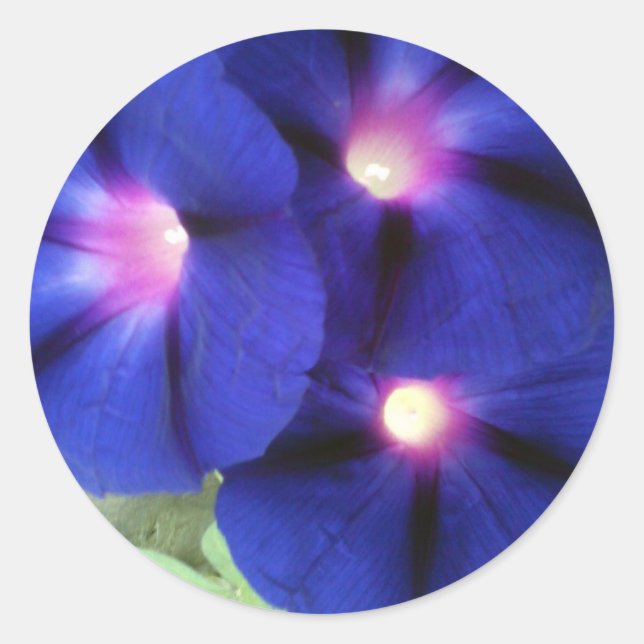 Floral Round Aufkleber (Vorderseite)