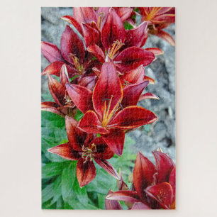 Floral Stargazer Lily, rot-kanadische Blume Puzzle