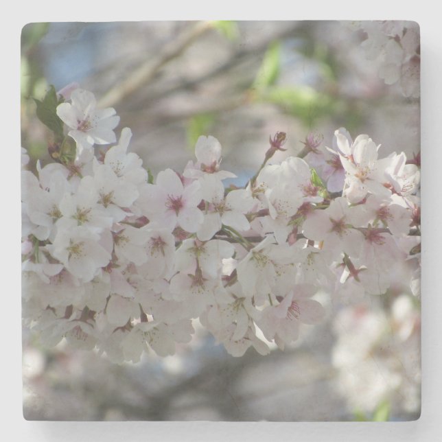 floral steinuntersetzer (Vorderseite)