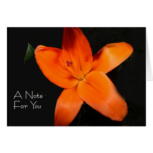 Floral Tiger Lily "Eine Note für Sie" (Vorderseite (Horizontal))