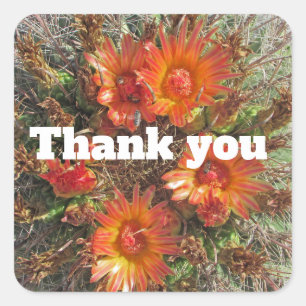 Floral Vielen Dank Bright Orange Cactus Blume Quadratischer Aufkleber