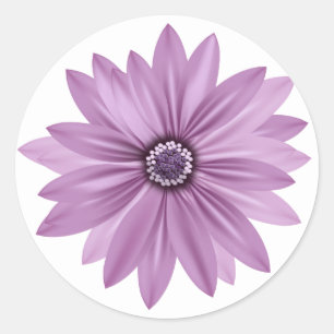 Floral Vielen Dank Lila Daisy Blume - Lavender Runder Aufkleber