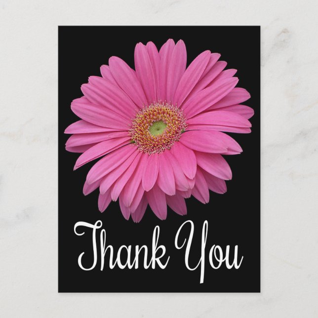 Floral Vielen Dank Pink Gerbera Daisy Blume Black Postkarte (Vorderseite)