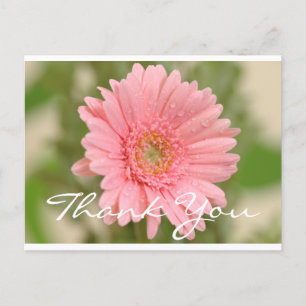 Floral Vielen Dank Pink Gerbera Daisy Blume Postkarte