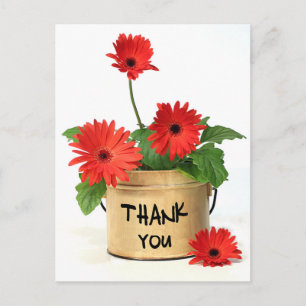 Floral Vielen Dank Red Gerbera Daisy Blume Postcar Postkarte