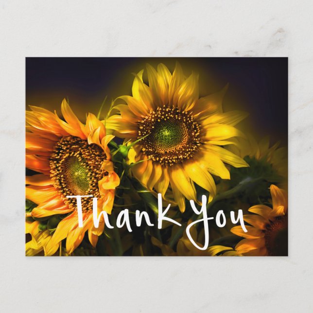 Floral Vielen Dank Yellow Sunflowers Blume Black Postkarte (Vorderseite)