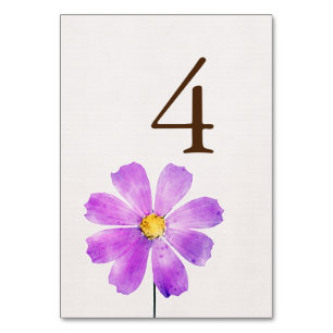 Floral Watercolor Cosmos Daisy Terracotta Wedding Tischnummer