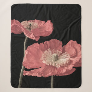 Florale feine Kunst Stillleben Pastellfarbe Makro Sherpadecke