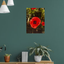 Florale Mohn-Träumerin – Botanische Fantasy-Kunst