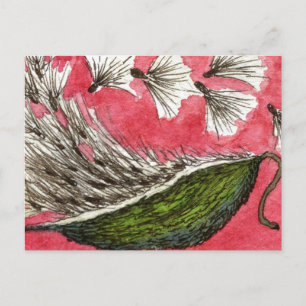 Florale Postkarte "Milkweed Pod"