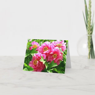Florale rosa Pfingstrosen-Blume Blank Dankeskarte