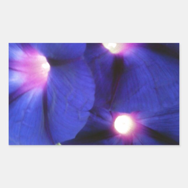 Floraler rechteckiger Aufkleber (Vorderseite)