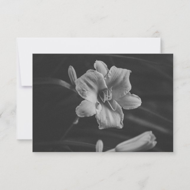 Florales Noir Save The Date (Vorderseite)