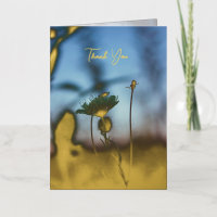 Florales romantisches Gedicht – Botanisches poetis