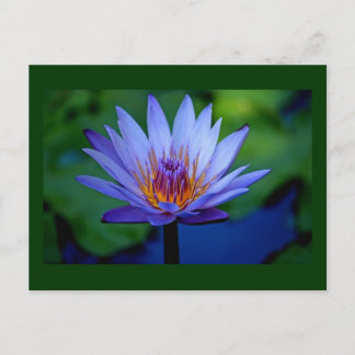 FLORALGRAD POSTKARTE