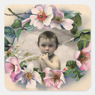 FLORALKULTUR,WILD ROSE BABY DUSCHE FOTOVORLAGE QUADRATISCHER AUFKLEBER