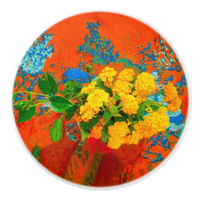 FLORALSCHÖNHEIT STARKE POWER FARBEN KERAMIKKNAUF (Vorderseite)