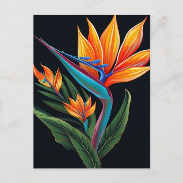 FLORARAL ART # 11 Geschenkboxen Postkarte (Vorderseite)