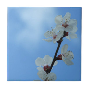 Floreal Keramik Tile Fliese