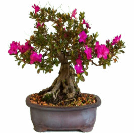 Florecitas Rosas Freistehende Fotoskulptur