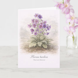 Florens tardiva Die Spätblüherin Botanisch Karte