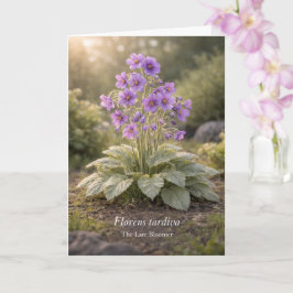 Florens tardiva Die Spätblüherin Botanisch Karte