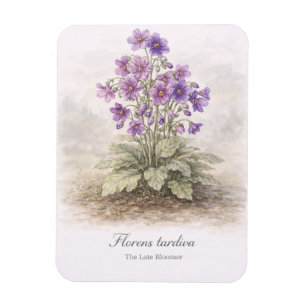 Florens tardiva Die Spätblüherin Botanisch Magnet