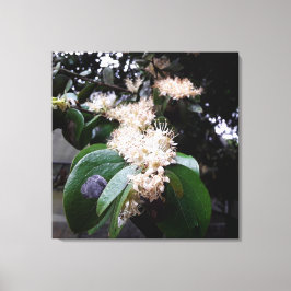 flores brancas1 leinwanddruck