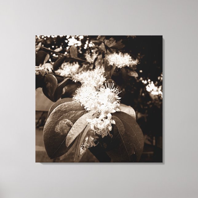 flores brancas2 leinwanddruck (Vorderseite)