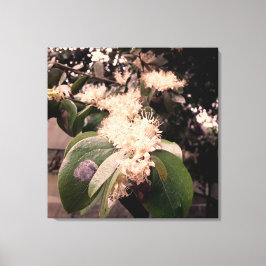 flores brancas3 leinwanddruck