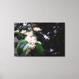 flores brancas leinwanddruck