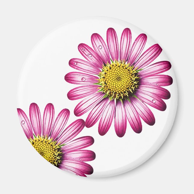 Flores de Gérbera Magnet (Vorne)