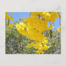 Flores de Puerto Rico Postkarte