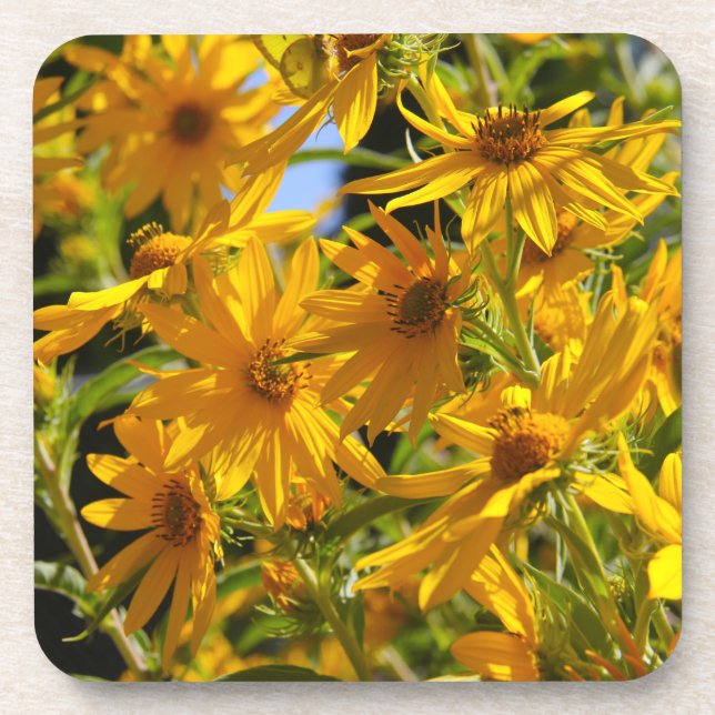 Flores en mi hierbas " Blume in meinem Unkraut " Untersetzer (Vorderseite)