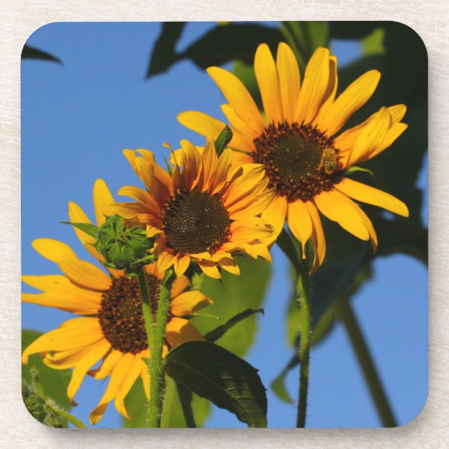 Flores en mi hierbas " Blume in meinem Unkraut " Untersetzer (Vorderseite)