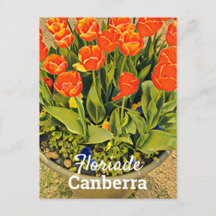 Floriade Canberra Australia Blume tulip festival Postkarte
