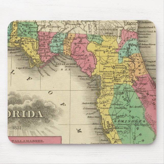 Florida 10 mousepad (Vorne)