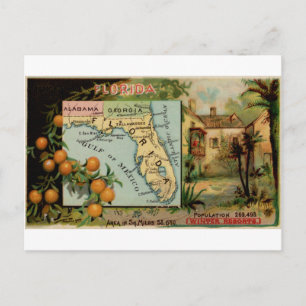 Florida, 1889 Vintage-Karte Postkarte