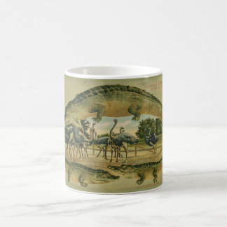 Florida 1905 Alligator-Rand-Tasse Tasse