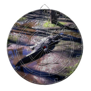 Florida-Alligator Dartscheibe