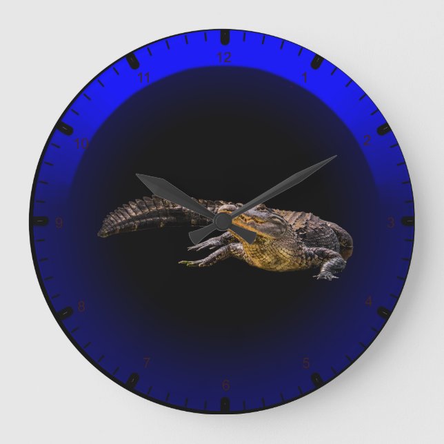 Florida-Alligator Große Wanduhr (Vorderseite)