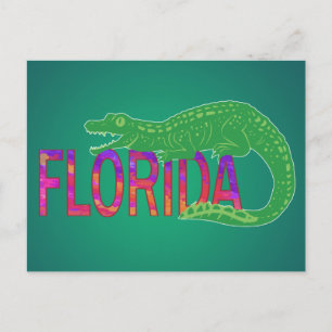 Florida Alligator Postkarte
