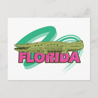 Florida Alligator Postkarte
