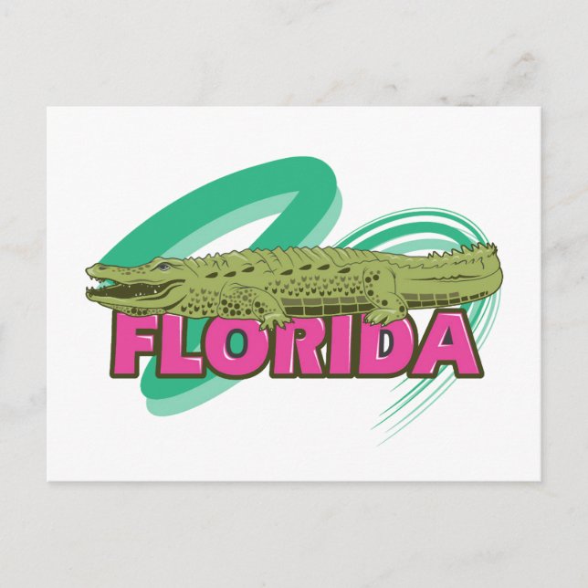 Florida Alligator Postkarte (Vorderseite)
