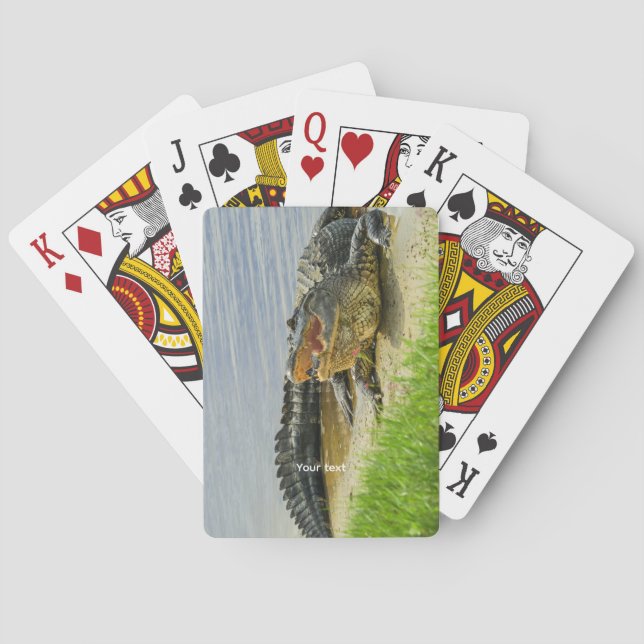 Florida-Alligator Spielkarten (Rückseite)